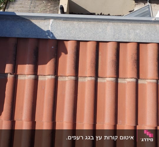 רעפים אדומים על גג עם מרזב מתכת אפור